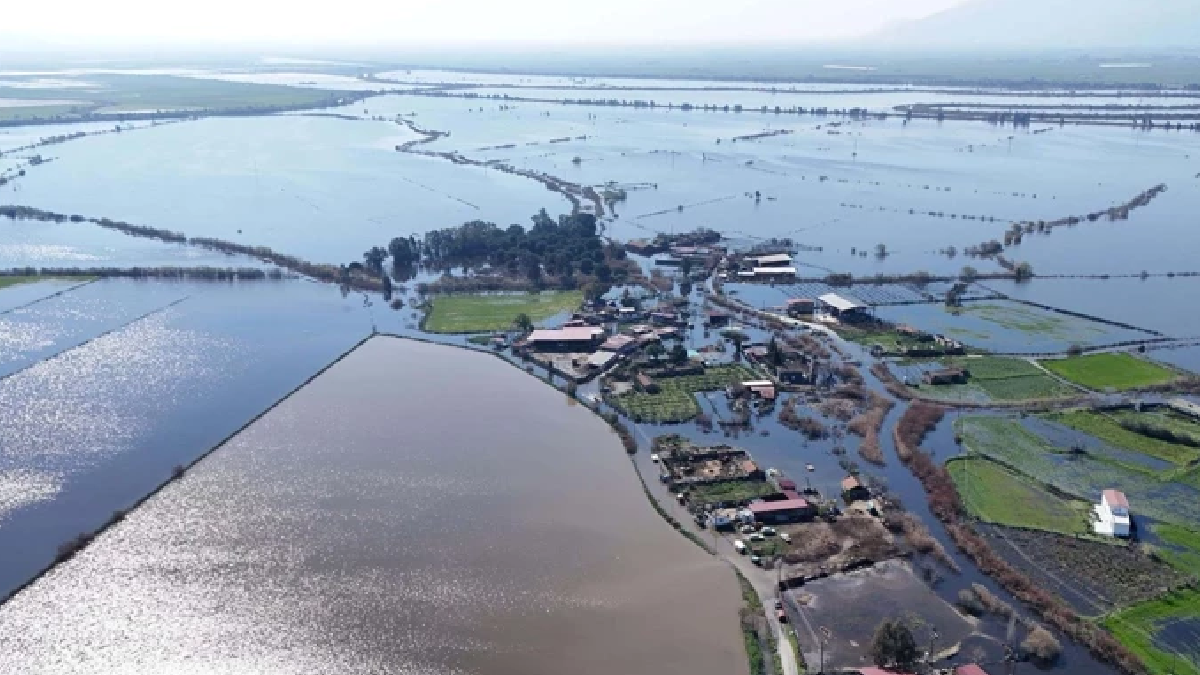 Tarım arazileri sular altında kaldı: Flamingolar akın etti