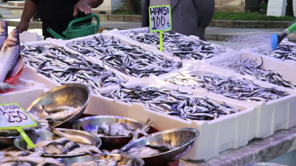 Ne hamsi ne mezgit ne de çipura: Balıkçıda ismini bile sormuyoruz ama tam bir şifa deposu