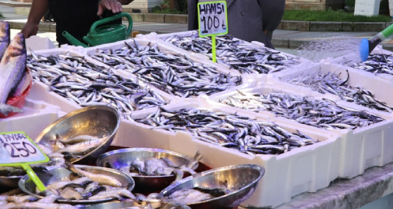 Ne hamsi ne mezgit ne de çipura: Balıkçıda ismini bile sormuyoruz ama tam bir şifa deposu