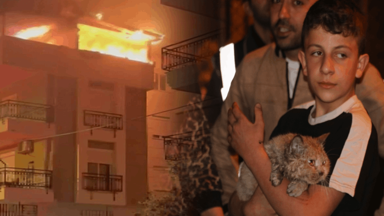Yangında dairede mahsur kalan 'Duman'ı itfaiye kurtardı