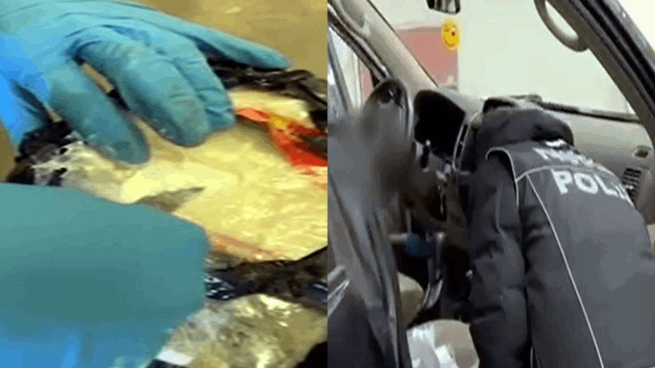 Kapıkule’de otomobilde 8 kilo 60 gram kokain yakalandı