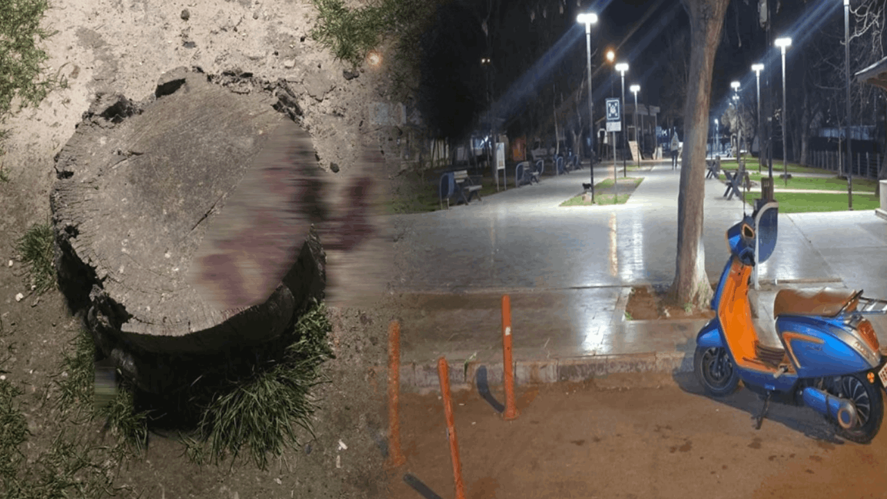 16 yaşındaki çocuk parkta bıçaklandı