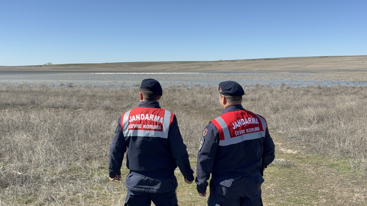 Binlercesi aniden Yozgat'a akın etti, Jandarma gece gündüz başlarında nöbet tutuyor