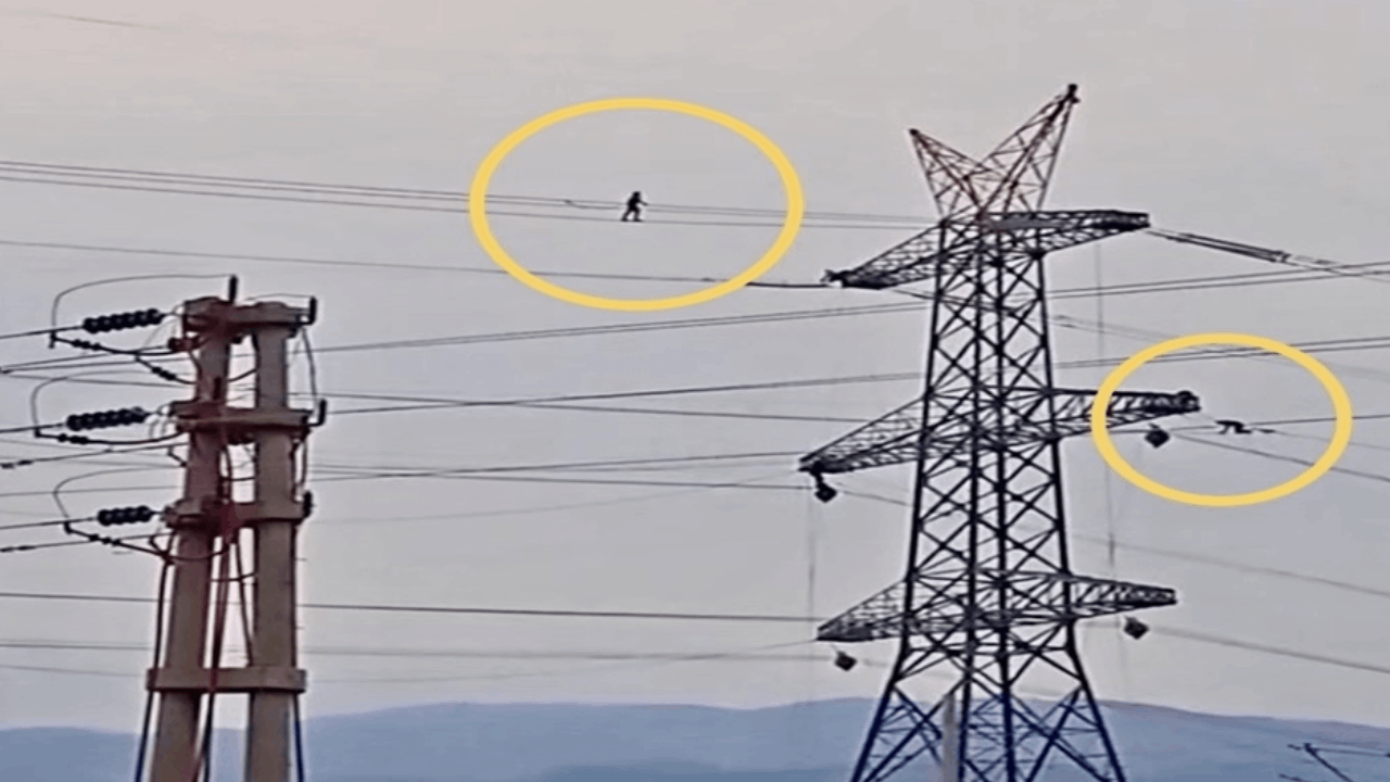 Yüksek gerilim hattında tehlikeli mesai