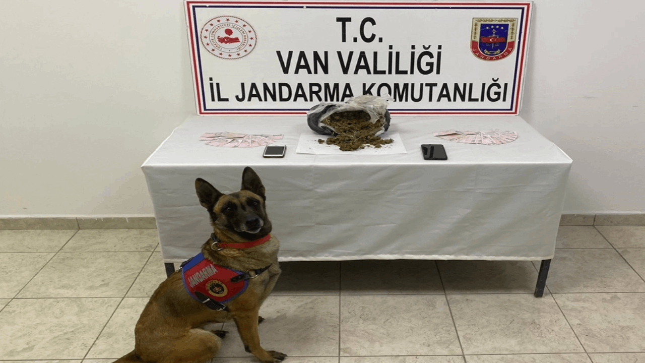 Mezarlık yakınında 1 kilo skunk yakalandı