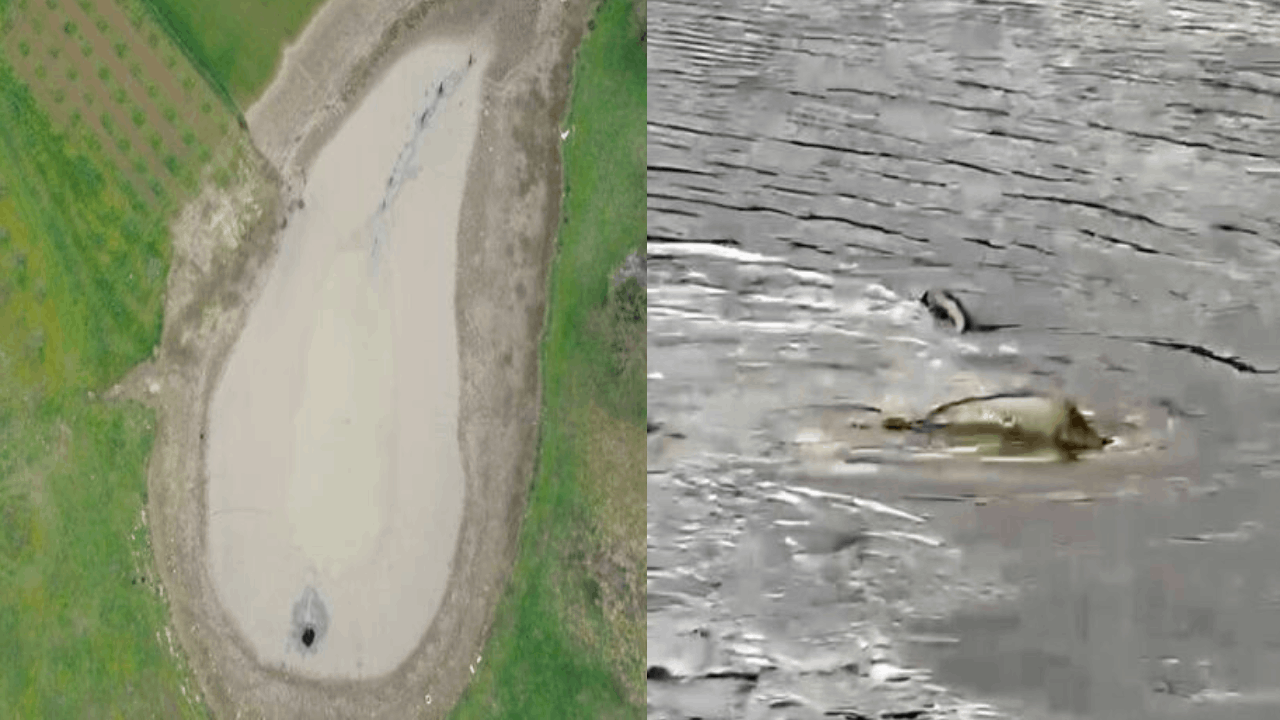 Sakarya'daki koca gölet bir anda yok oldu!