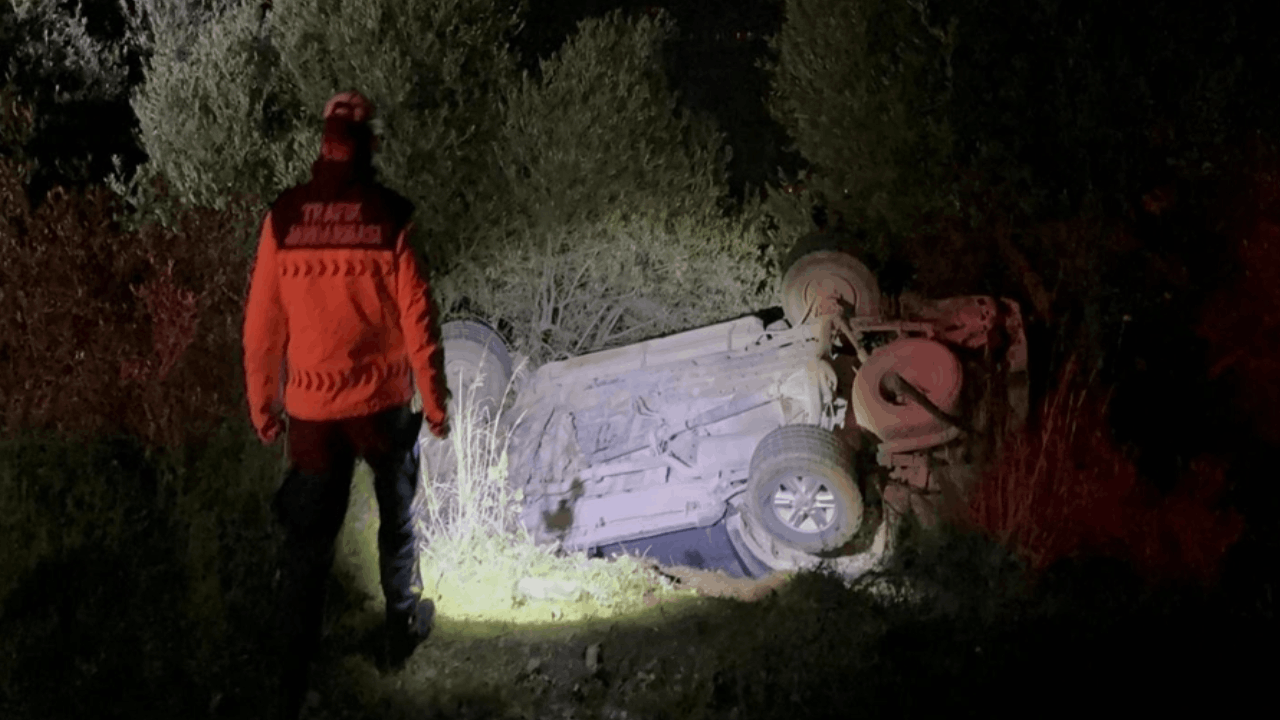 Alkollü sürücünün kullandığı otomobil, zeytinliğe uçtu