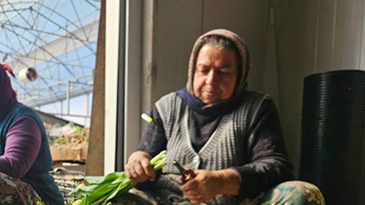 Türkiye'de bir ilk! Yılda sadece iki güne özel suda üretiliyor