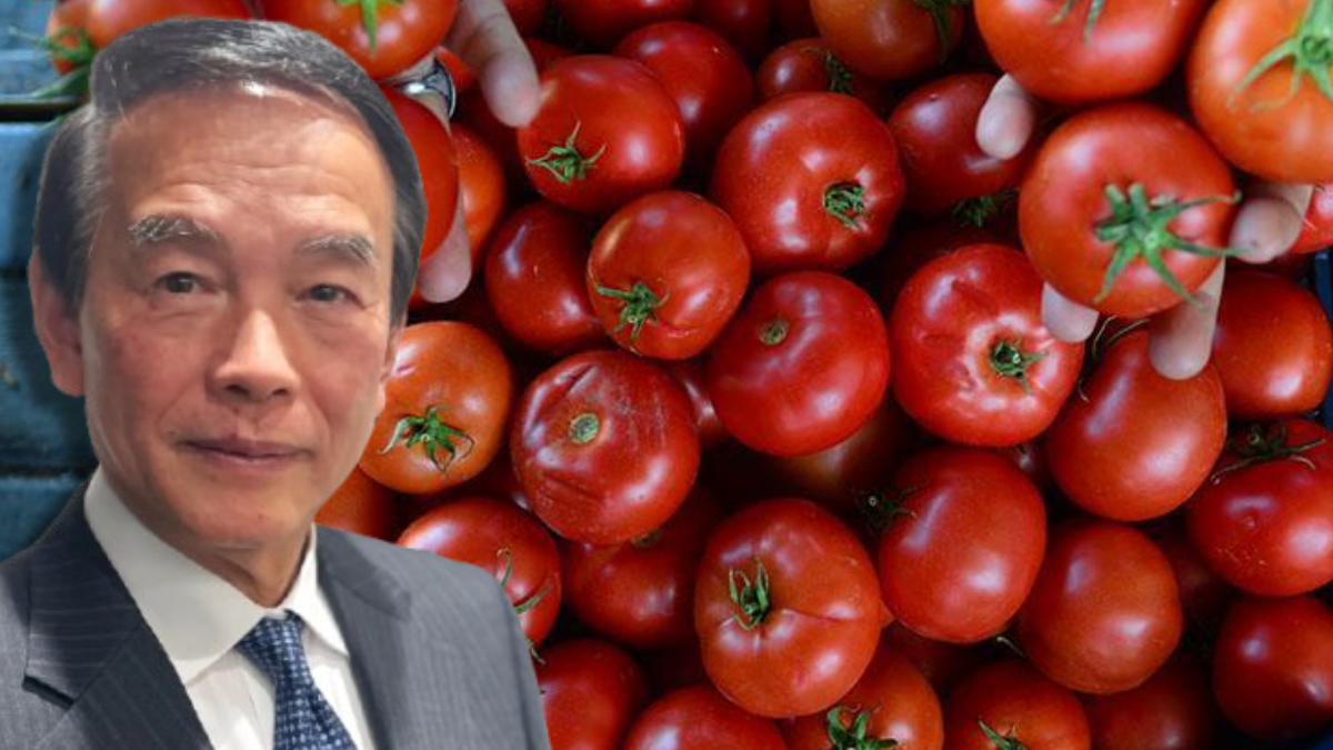 Milyarlarca lirayla oynuyordu: Şimdi domates satacak