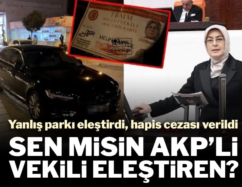 AKP’li vekilin park ihlalini eleştirenlere hapis cezası