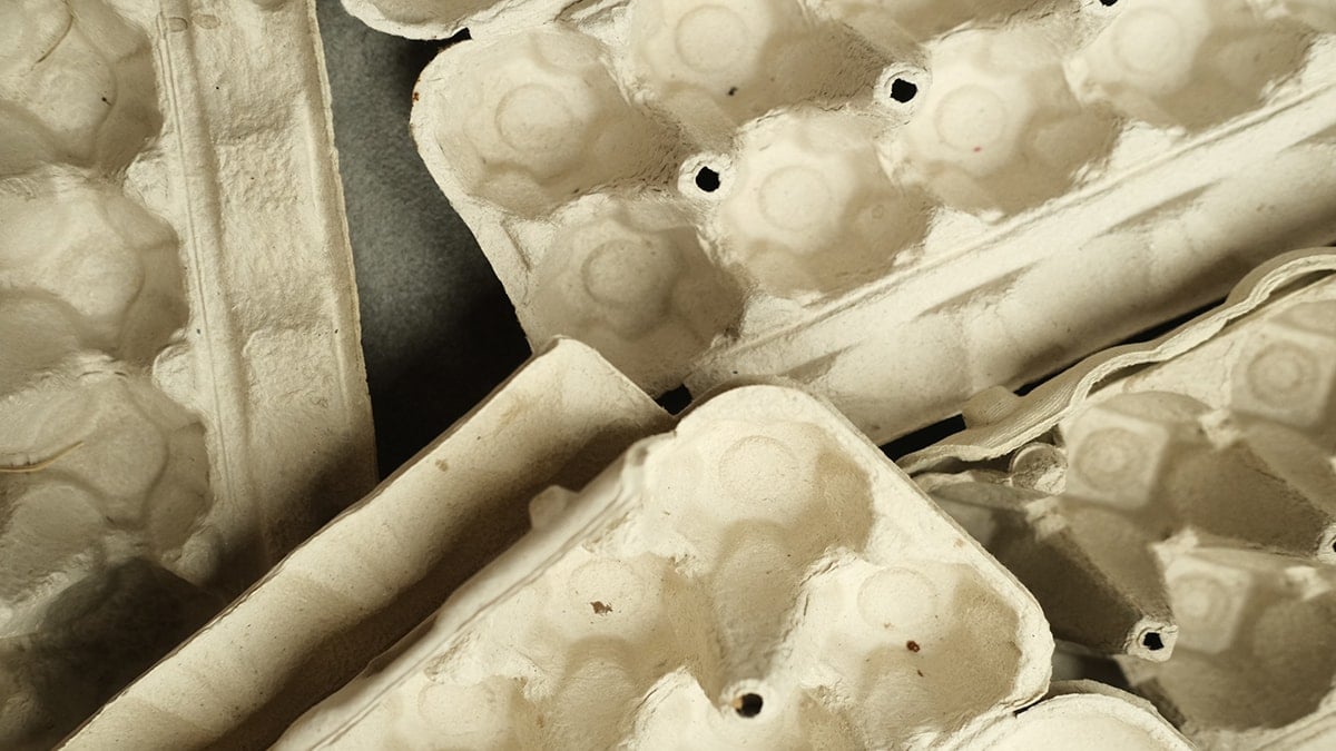 Bahçıvanların yumurta kartonlarını toplamasının altındaki 'zekice' sebep: Çöpe atmayın