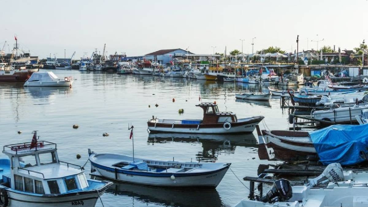 Türkiye haritasını değiştiren 14 şehir: İlçeyken il oldular