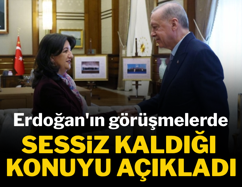 Pervin Buldan, Erdoğan'ın görüşmelerde sessiz kaldığı konuyu açıkladı
