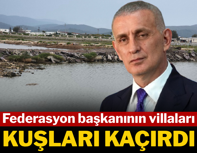 Federasyon başkanının villaları kuşları kaçırdı