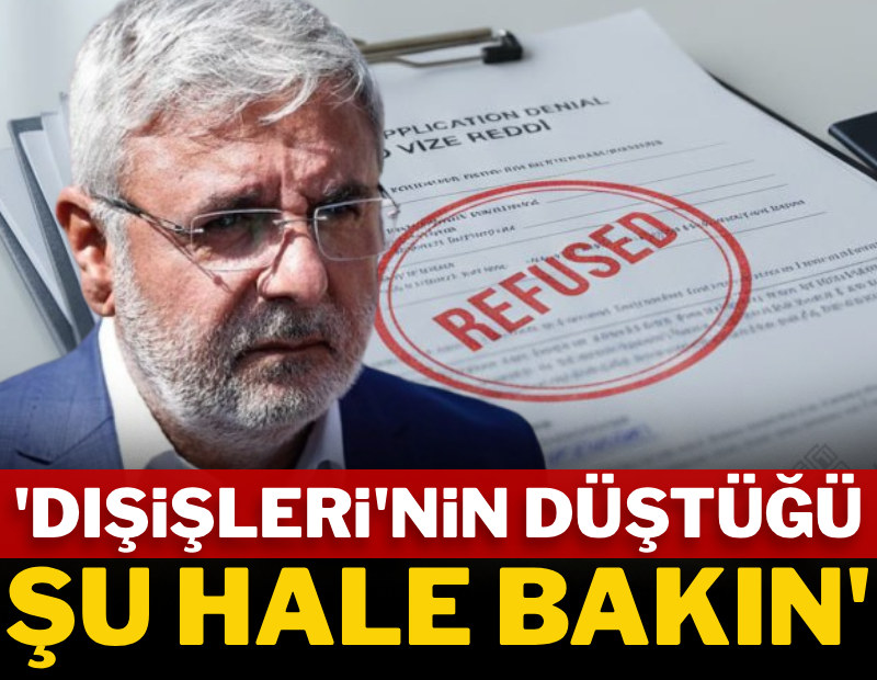 'Dışişleri'nin düştüğü şu hale bakın'