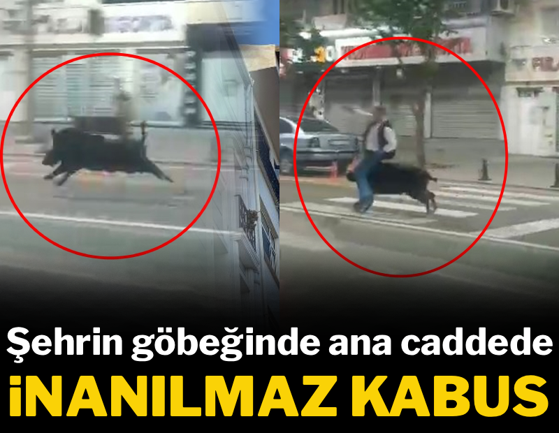 Şehrin göbeğinde inanılmaz kabus