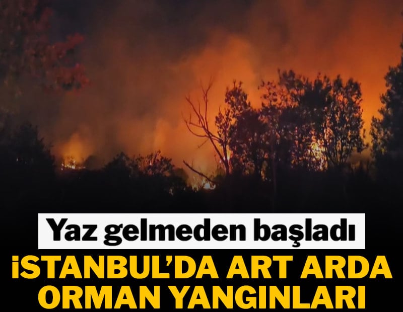 İstanbul'da peş peşe orman yangını