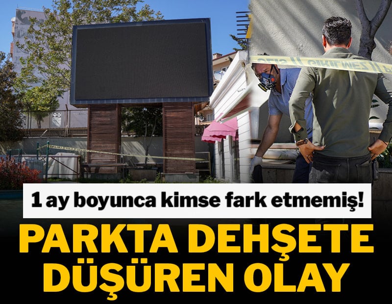 1 ay boyunca kimse fark etmemiş! Parkta dehşete düşüren olay