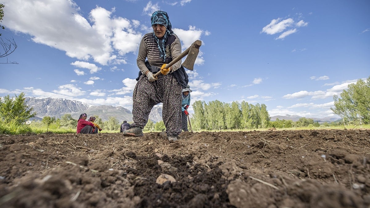 17 milyon emekli 11 bin bahçe etmedi