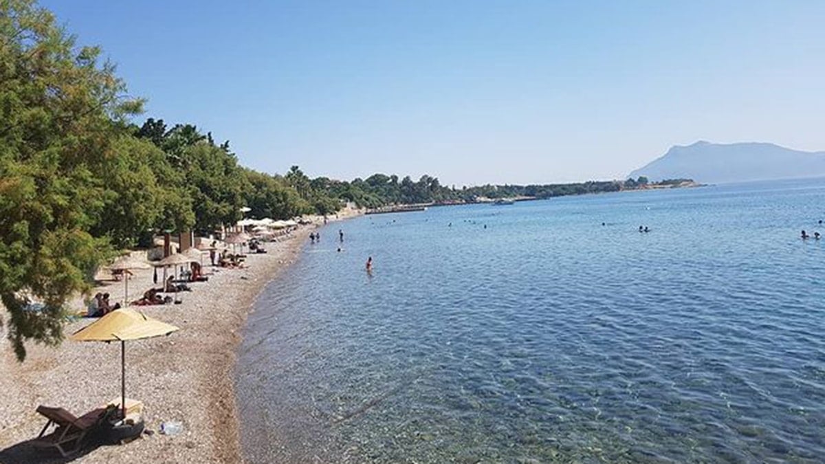 Son kupon araziler satışta