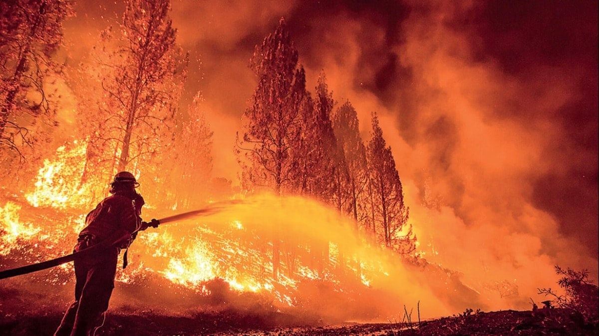 Sizde hiç mi vicdan yok!