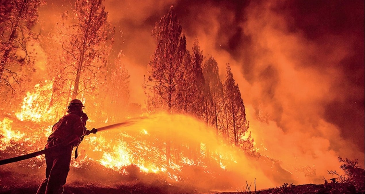 Sizde hiç mi vicdan yok!