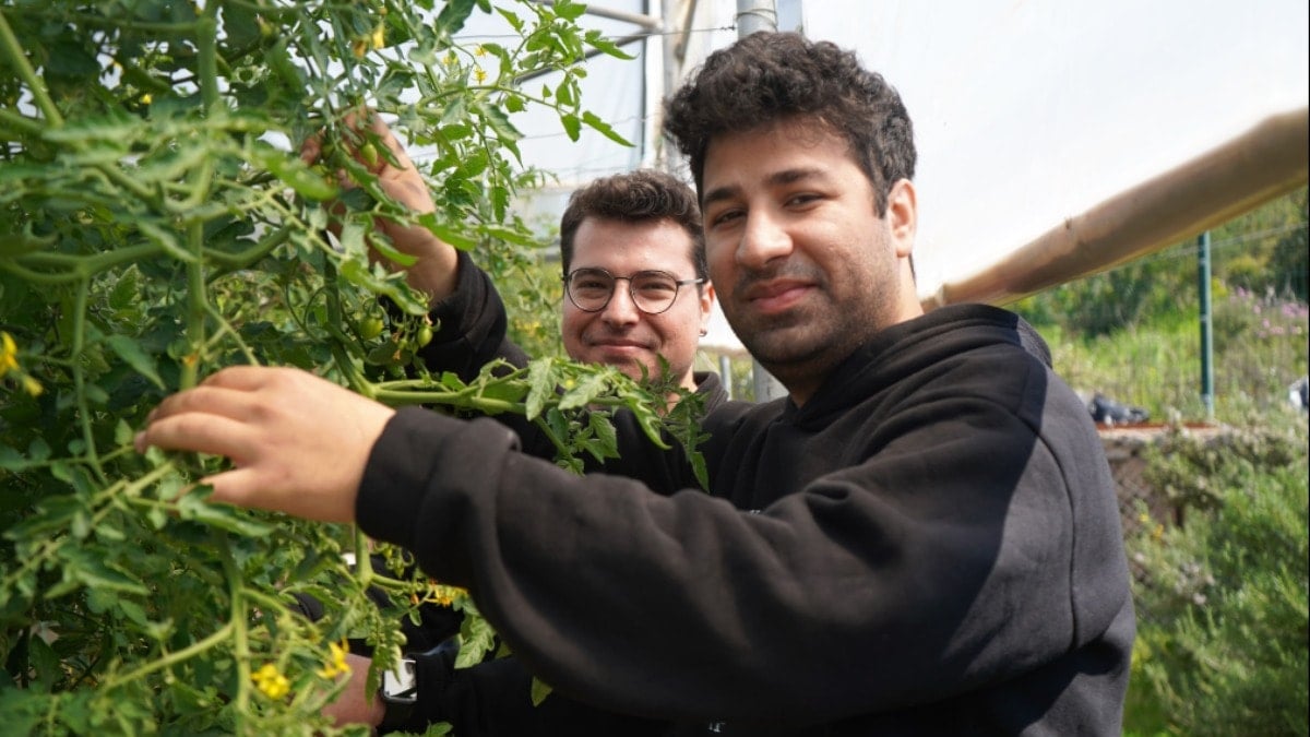 Psikiyatri hastaları hem tedavi görüyor hem para kazanıyor