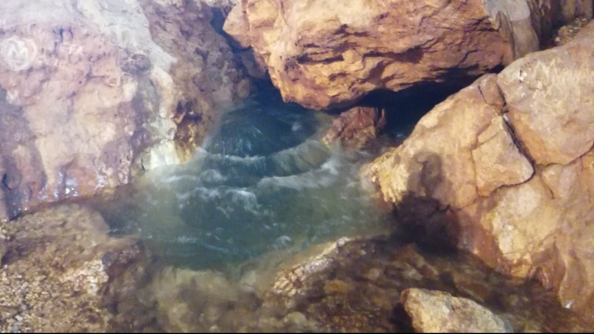 13 yıl sonra ilk kez! Yarım milyon kişi görmeye gitti