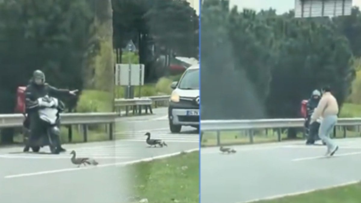 İstanbul trafiğinde ördek operasyonu