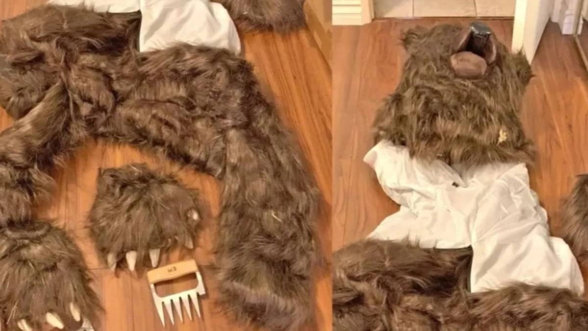 Araçlara saldıran ayı, büyük hırsızlığın parçası çıktı