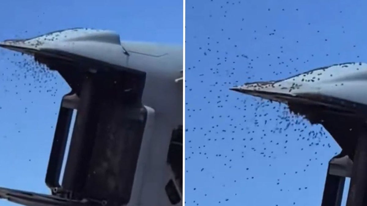 İsrail'i arılar istila etti: Uçaklar durdu, evinizden çıkmayın çağrısı yapıldı