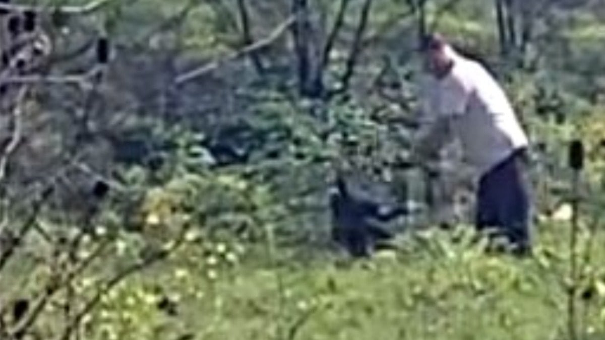 Avcılar'da boş arazideki dehşet anları: Kemerle dövdüğü köpekle kayıplara karıştı