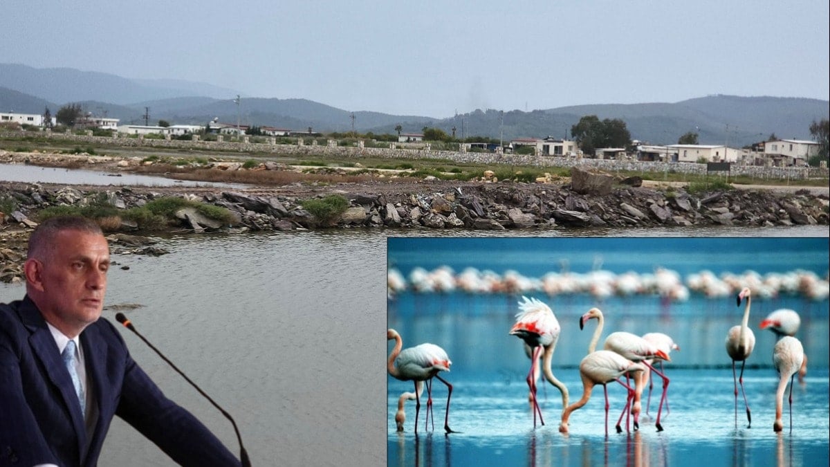 Kuşların yerine villalar konacak