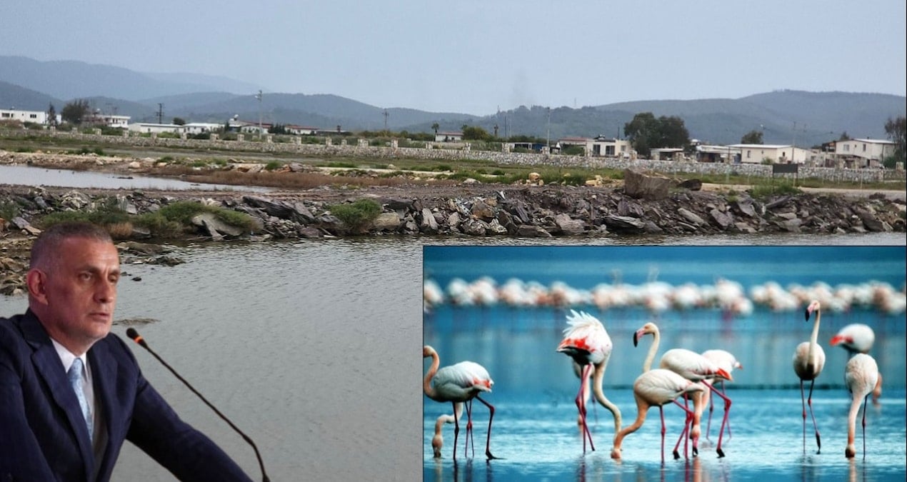 Kuşların yerine villalar konacak