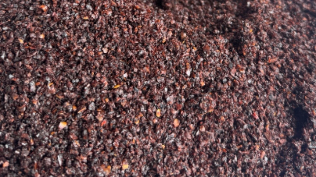 Türkiye'den 66 ülkeye gönderildi: Almanya, Hollanda ve İngiltere sıraya girdi