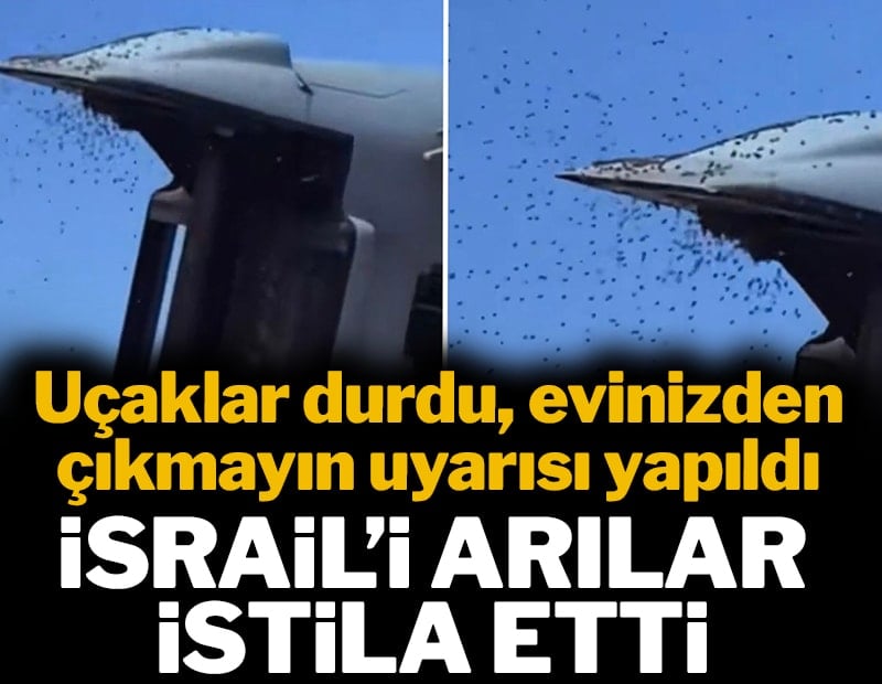 İsrail'i arılar istila etti: Uçaklar durdu, evinizden çıkmayın çağrısı yapıldı
