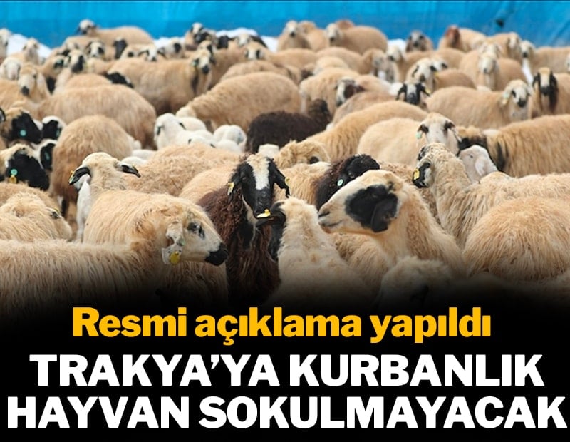 Resmi açıklama yapıldı: Trakya'ya kurbanlık hayvan sokulmayacak