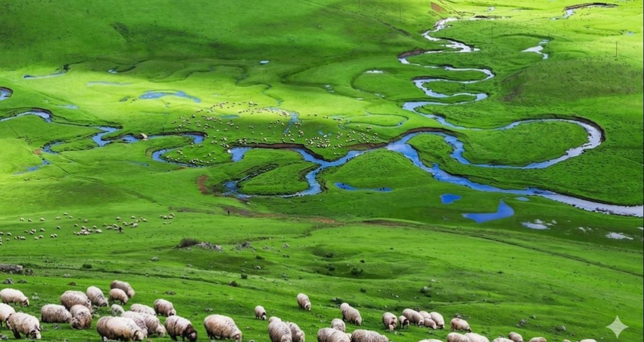 Bu cennetimize kıymayın efendiler