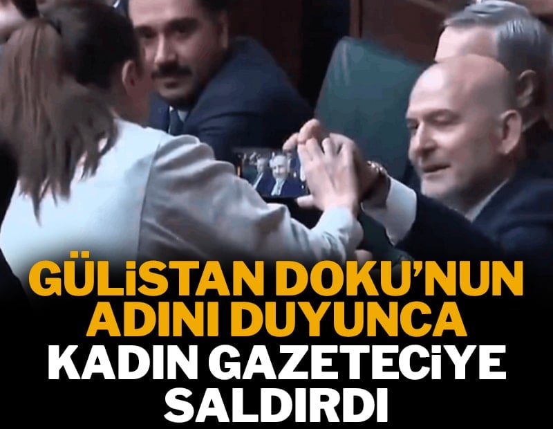 Süleyman Soylu 'Gülistan Doku'nun adını duyunca kadın gazeteciye saldırdı