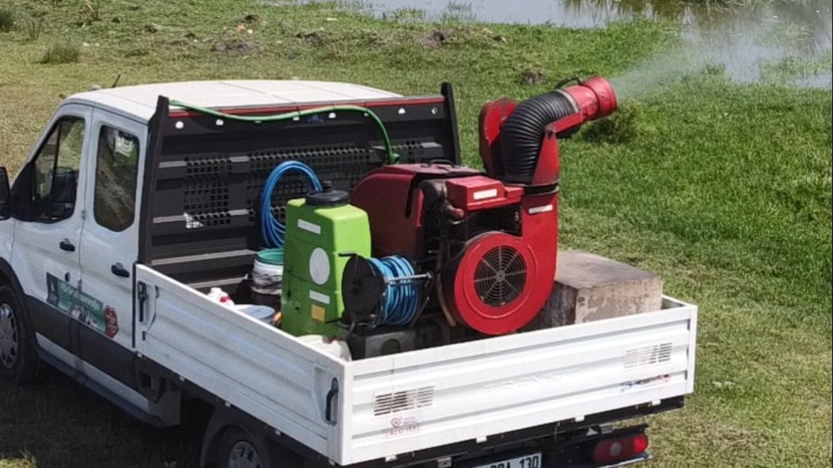 İstanbullulara 'karasinek ve sivrisinek' uyarısı