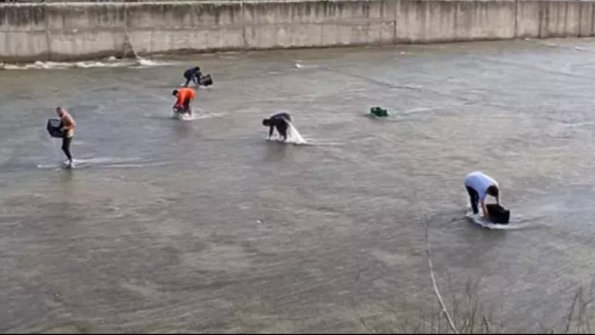 Duyan çuval ve kasayla dereye koştu: Balıkları toplamak için yarıştılar