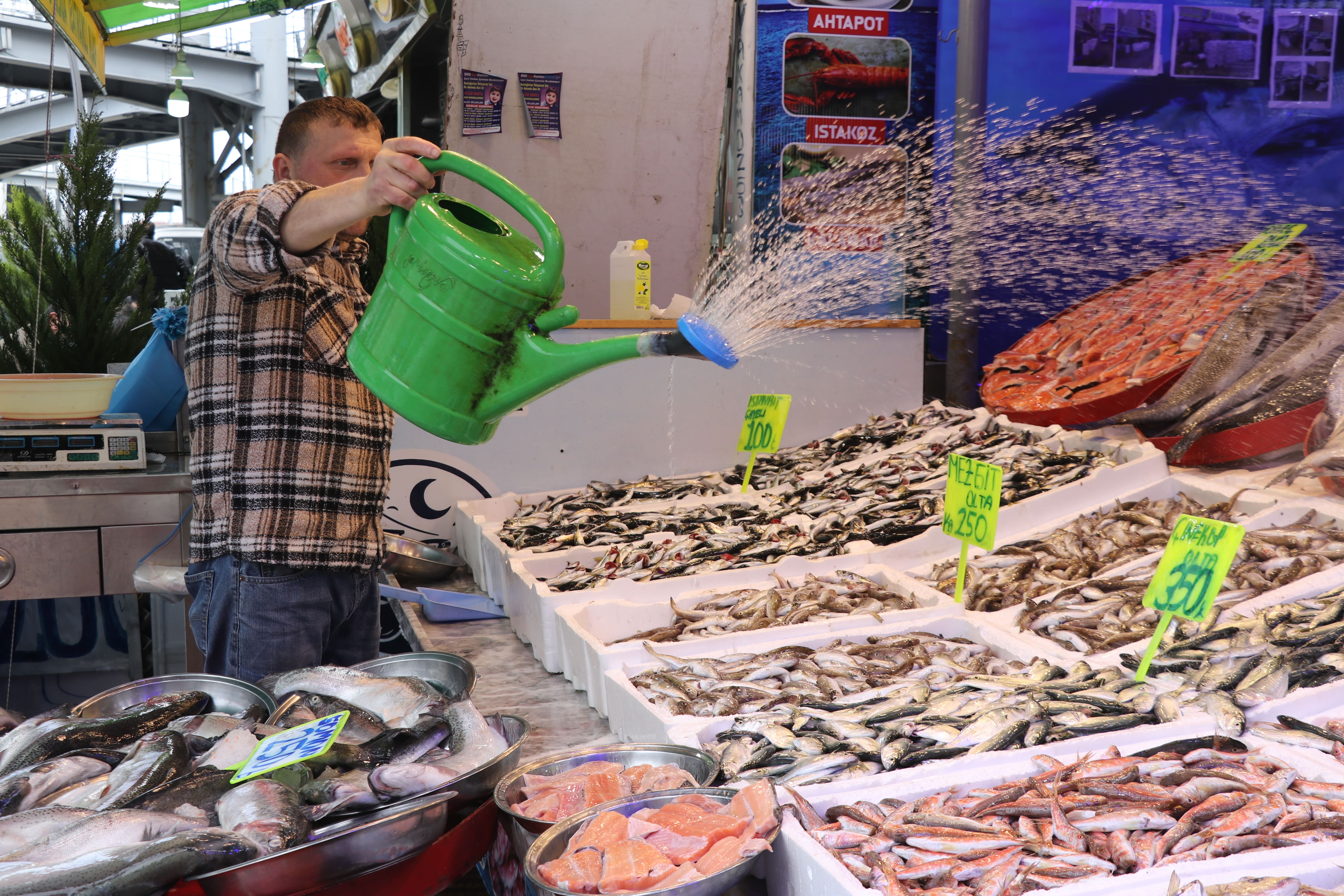 Balık pazarında sezon sonu hareketliliği: En ucuzu 200, en pahalısı 600 lira