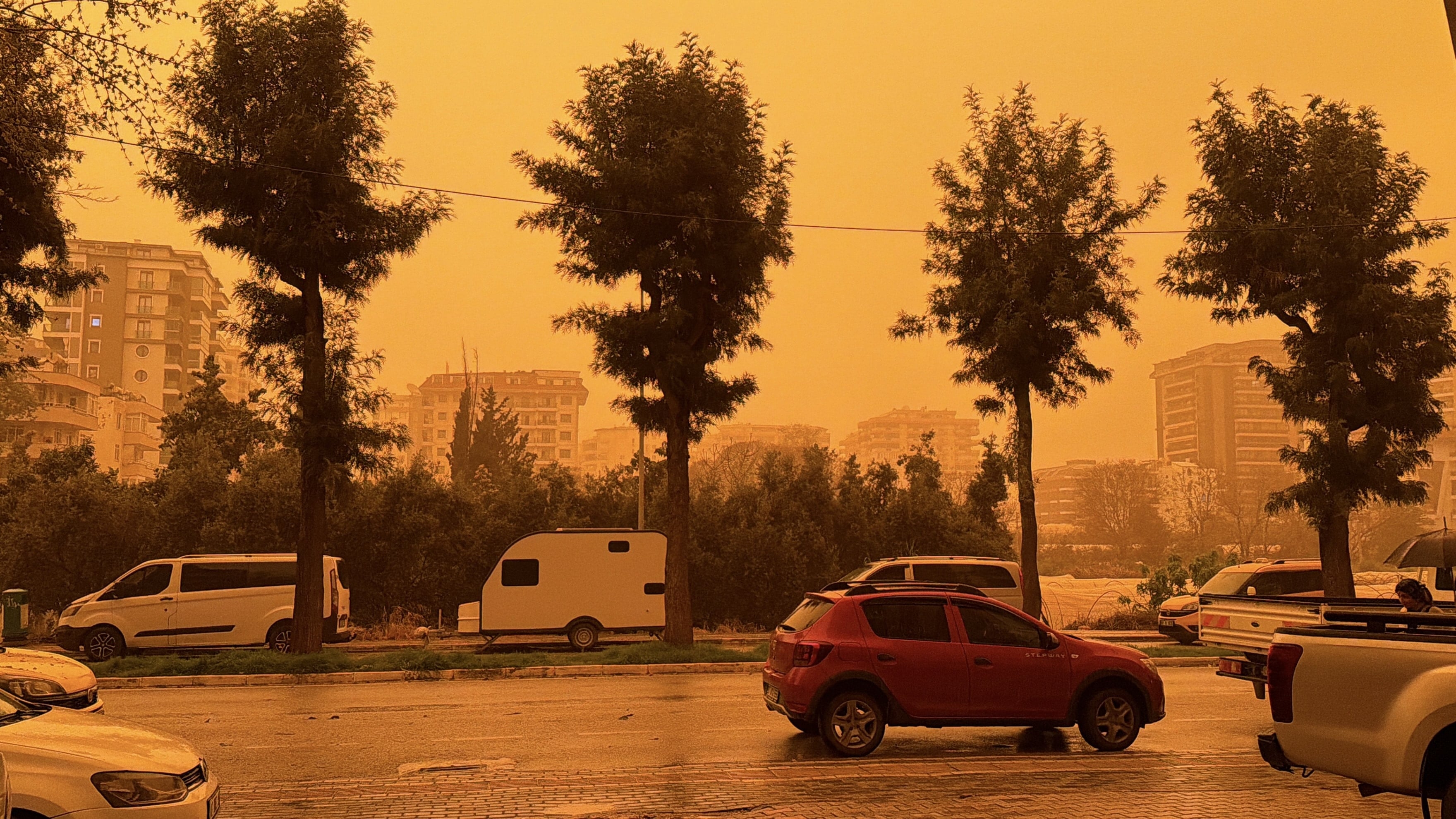 Afrika'dan geldi Antalya'yı turuncuya boyadı