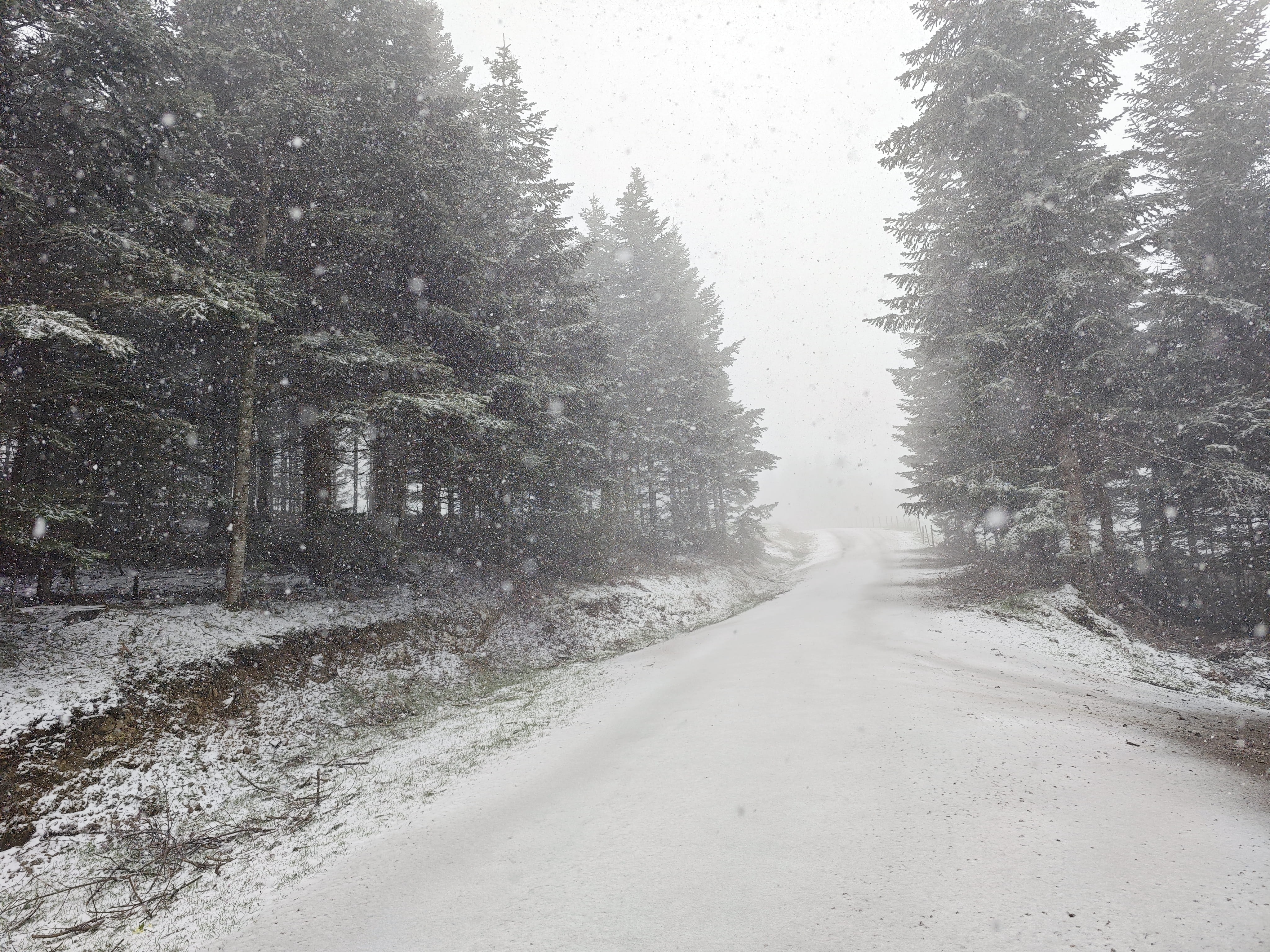 Samsun ve Amasya nisanda beyaza büründü
