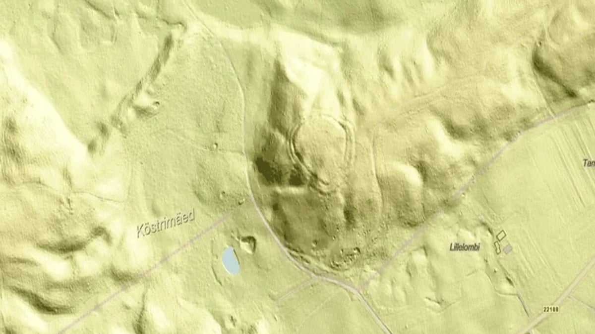 Bitki örtüsünün altında dev keşif