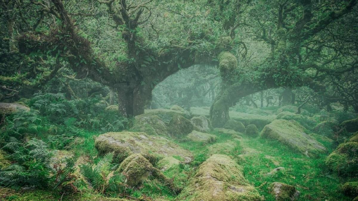 Denizin altında binlerce yıllık gizli hazine bulundu