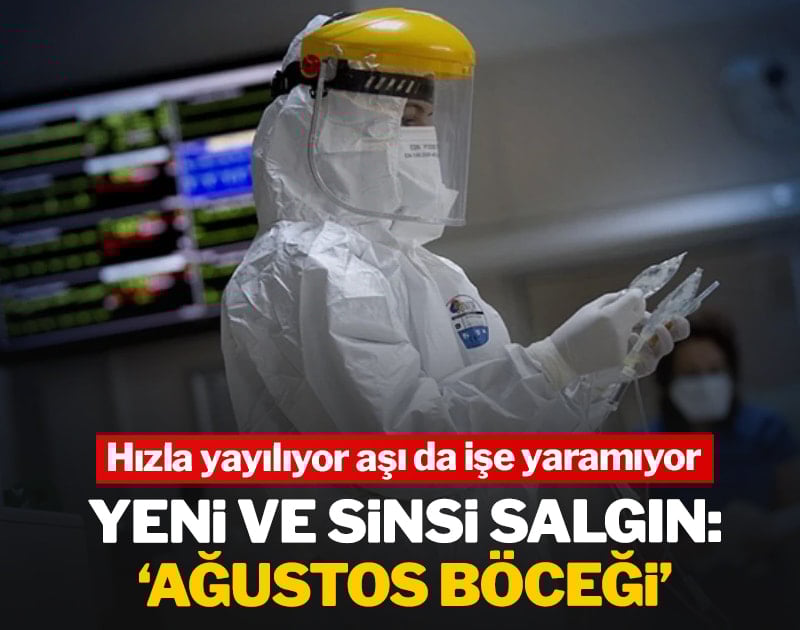 Yeni ve sinsi salgın: 'Ağustos Böceği' Hızla yayılıyor aşı da işe yaramıyor
