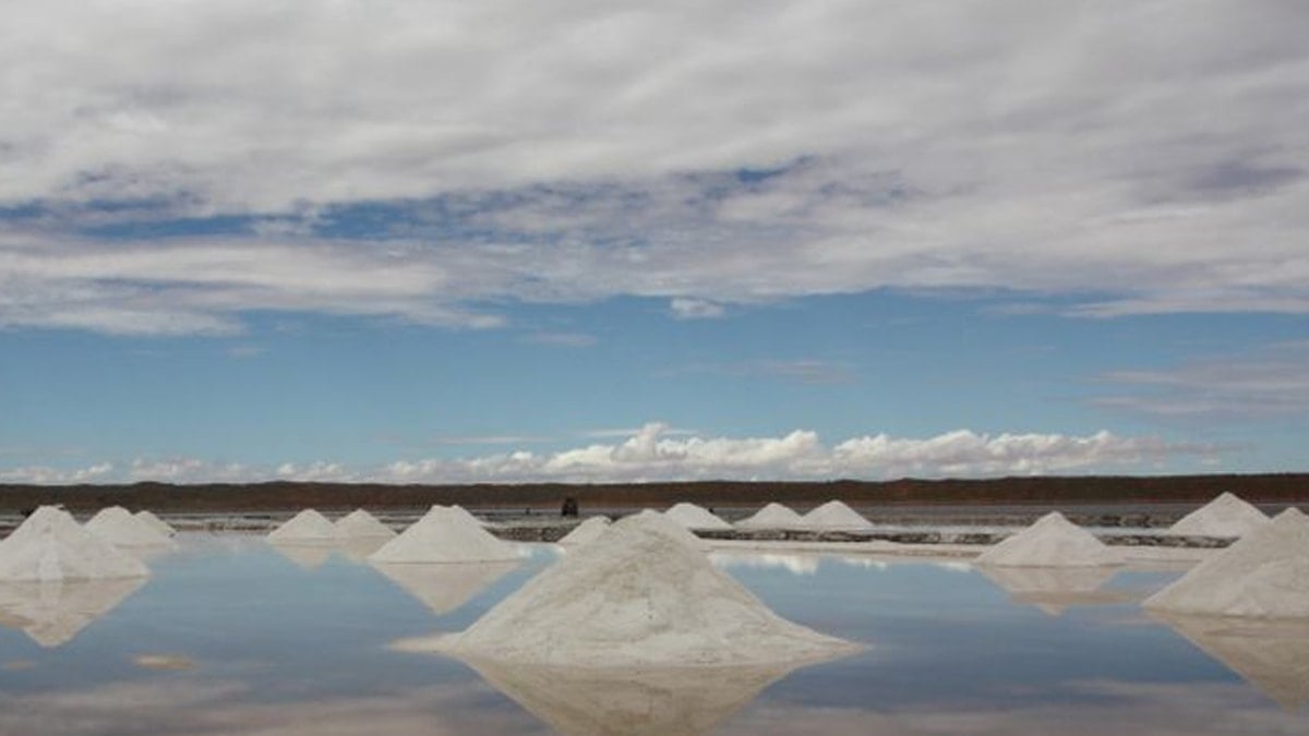 Evini satıp çöle yatırım yapan kadın milyoner oldu