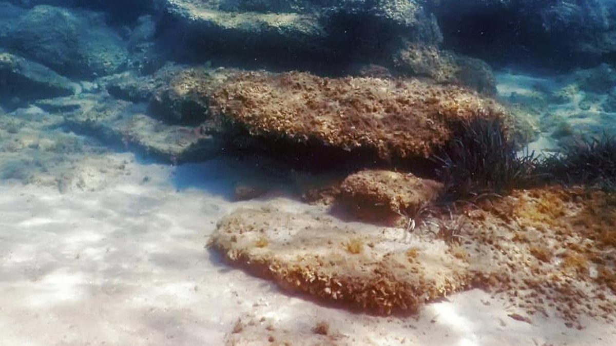 Okyanusta dev 'altın mutfağı' keşfedildi: Ülkenin kaderini değiştirecek