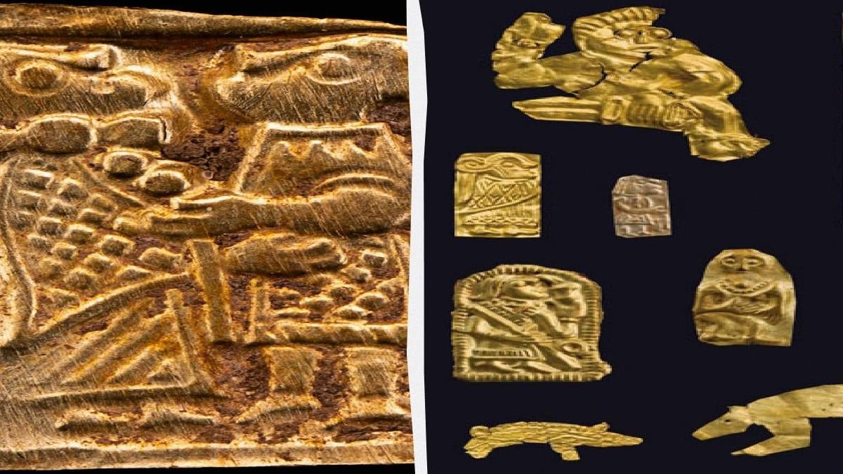 Çiftlikte 250 yıllık hazine bulundu